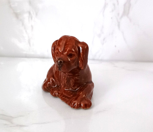 Wade red setter - puppy, lying