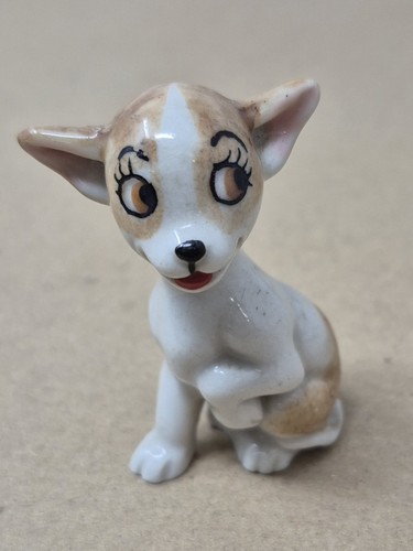 Wade pepi chihuahua - ‘pepi’,