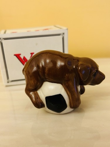 Wade puppy football - puppy, on