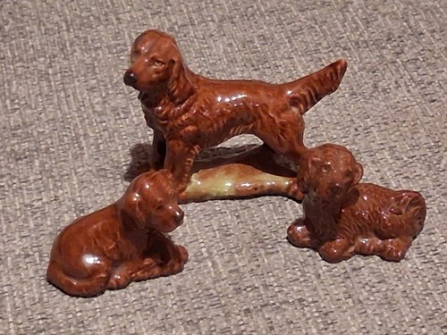 Wade whimsie red setter mother - wade,