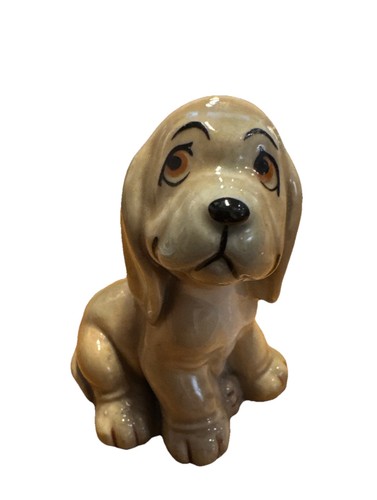Wade dog bengo - wade,