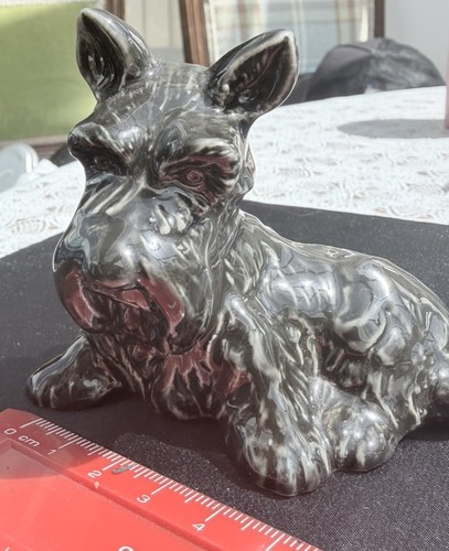 Wade scotch terrier - wade,
