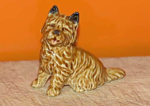 Wade cairn terrier dog - terrier,