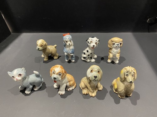 Wade pets bengo friends - pets,