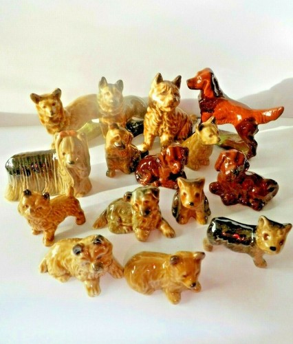 Wade dogs puppies - &,