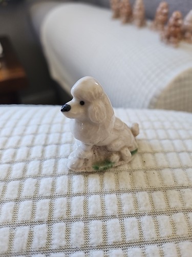 Wade whimsie poodle dog - wade,