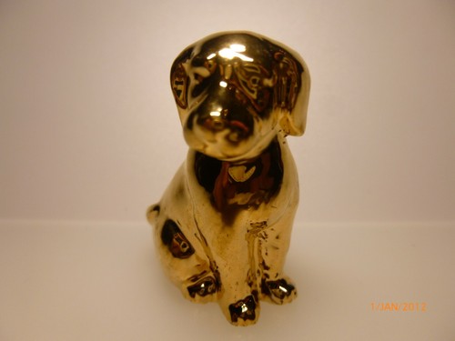 Wade whimsie gold - whimsie, spaniel