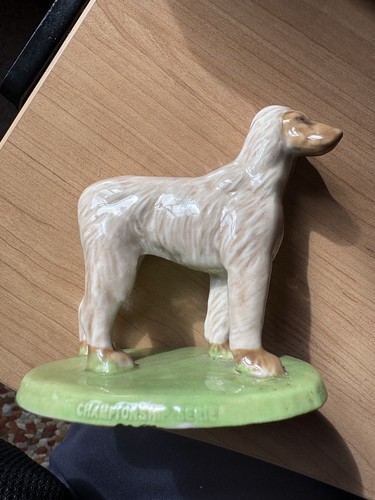 Wade championship dogs 1975 - championship,