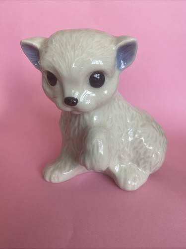 Wade white rosie - rosie, kitten