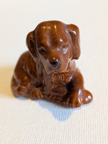 Red setter pup - setter,