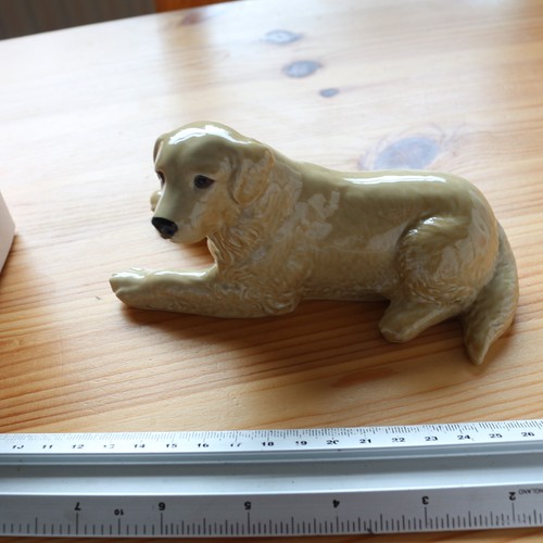 Wade dog series golden - series,