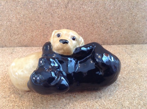 Wade puppy play - play, 2